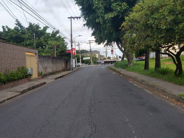 #545 - Terreno para Venda em Belo Horizonte - MG - 1