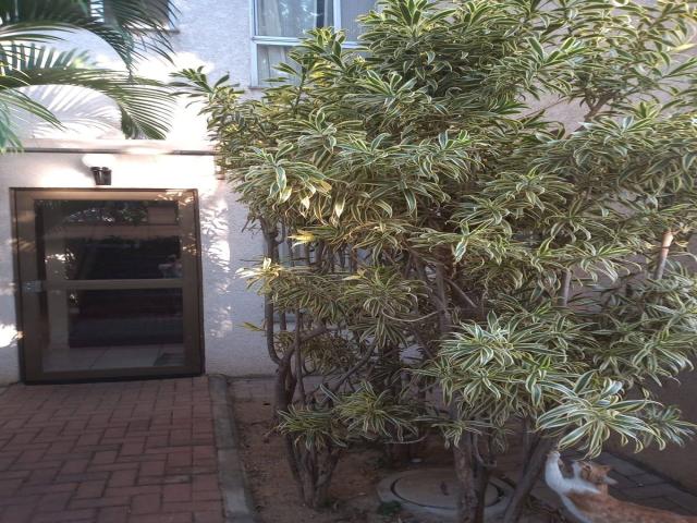 Apartamento para Venda em Betim - 5